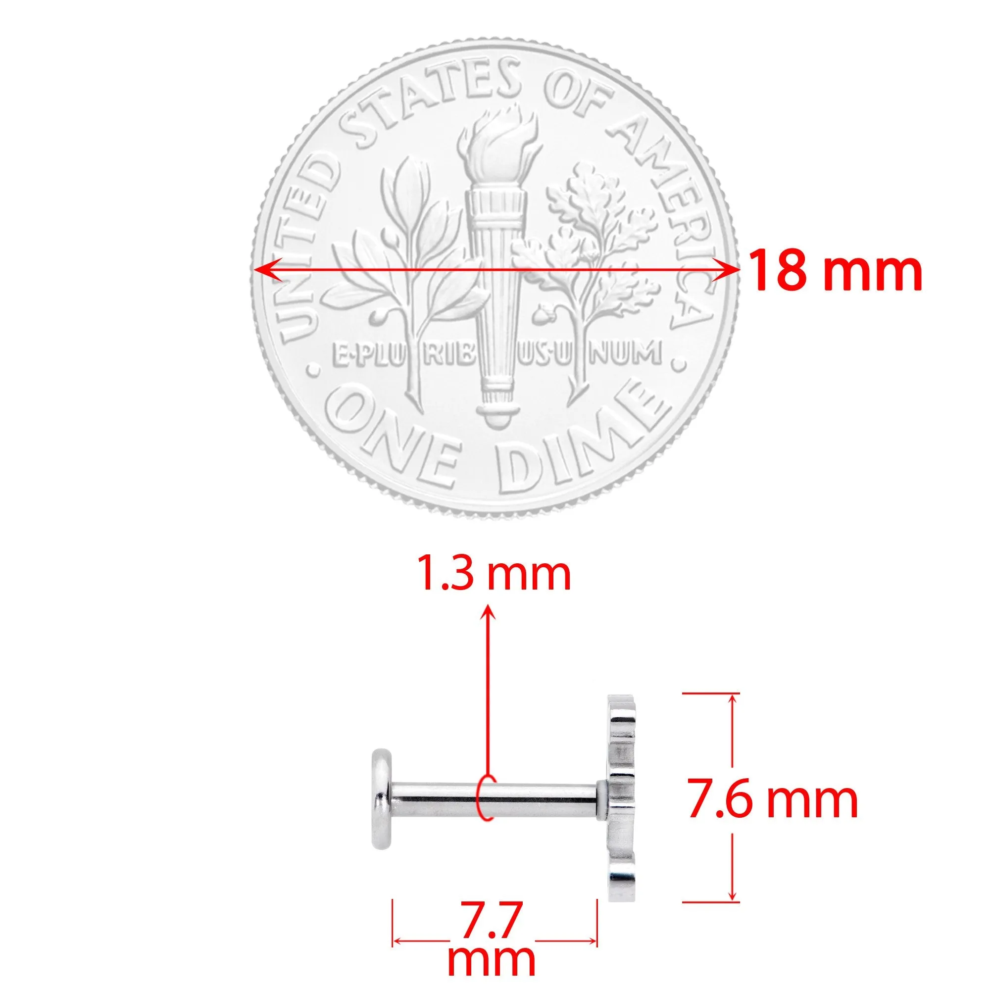 16 Gauge 5/16 Fantastic Dragon Internally Threaded Labret Tragus