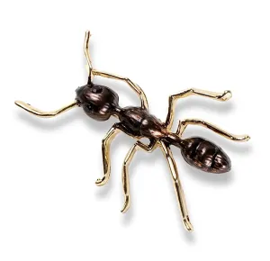Ant Brooch