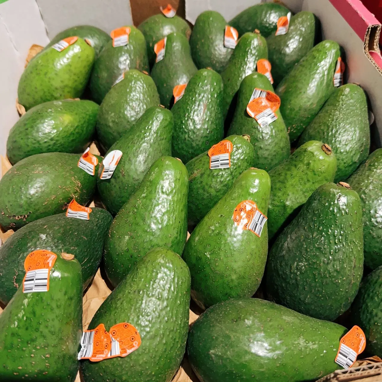 Avocados - 2 Pieces