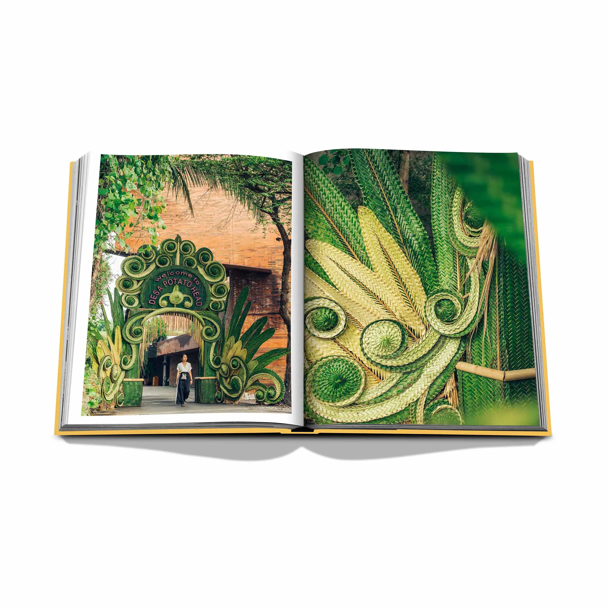 Bali Mystique Book