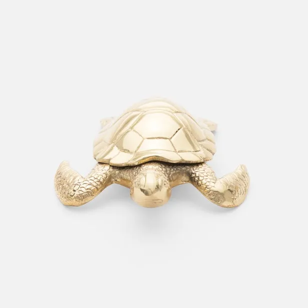 Brass Tropical Tortuga