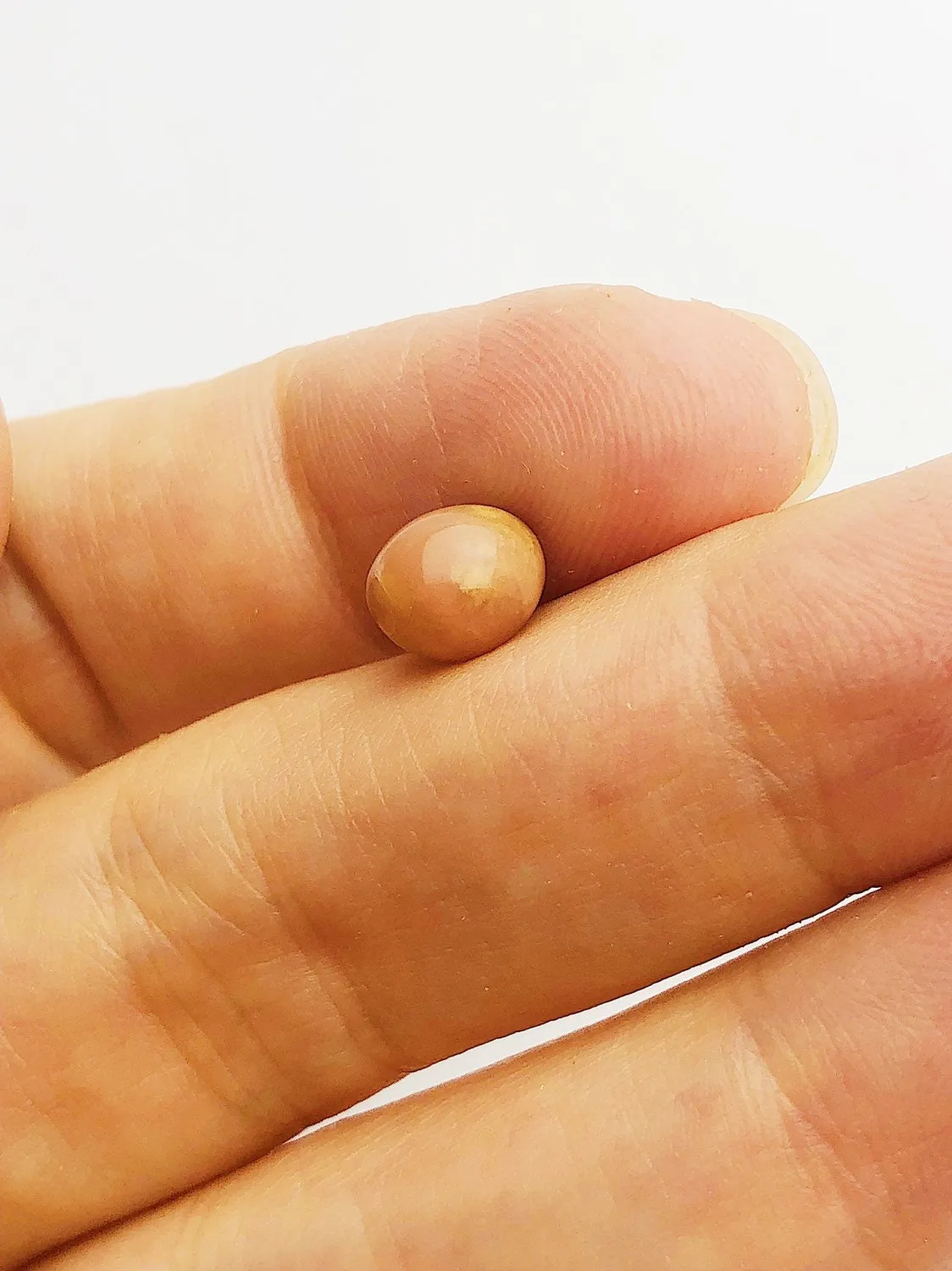 Conch Pearl Loose 7.96mm x 6.18mm No. 27