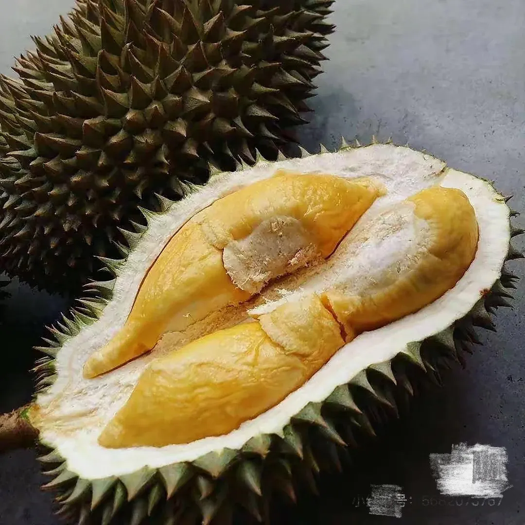 D163 Gourd Durian 1.4-1.6kg