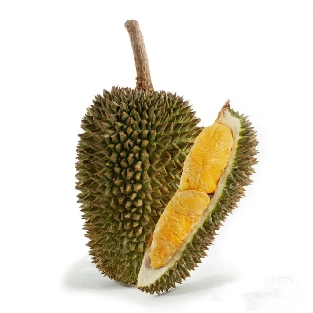 D163 Gourd Durian 1.4-1.6kg