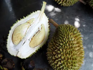 D17 Old Lady Durian - 1.6-1.8kg