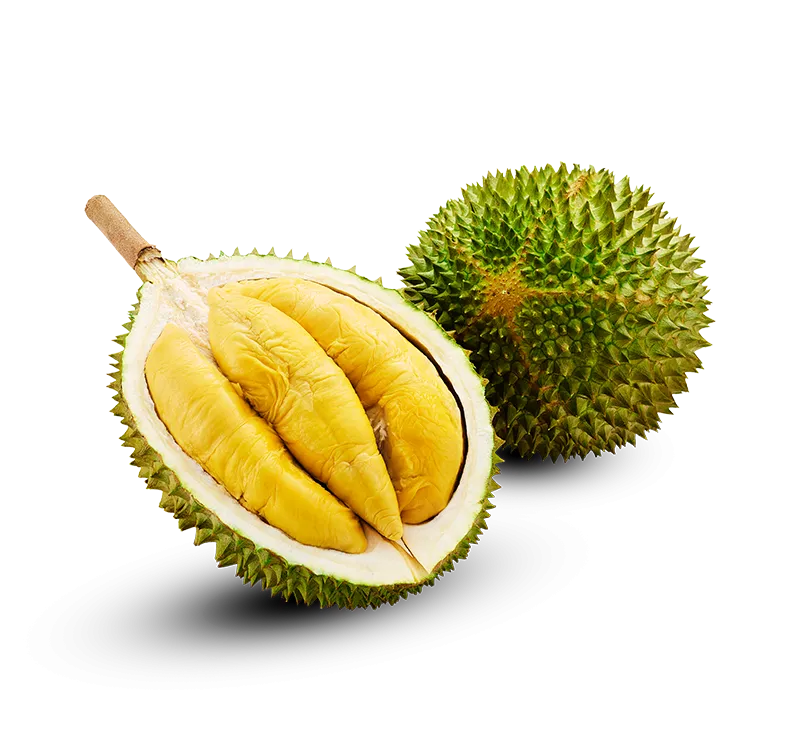 D197 Musang King Durian in Net 2.6-2.8kg