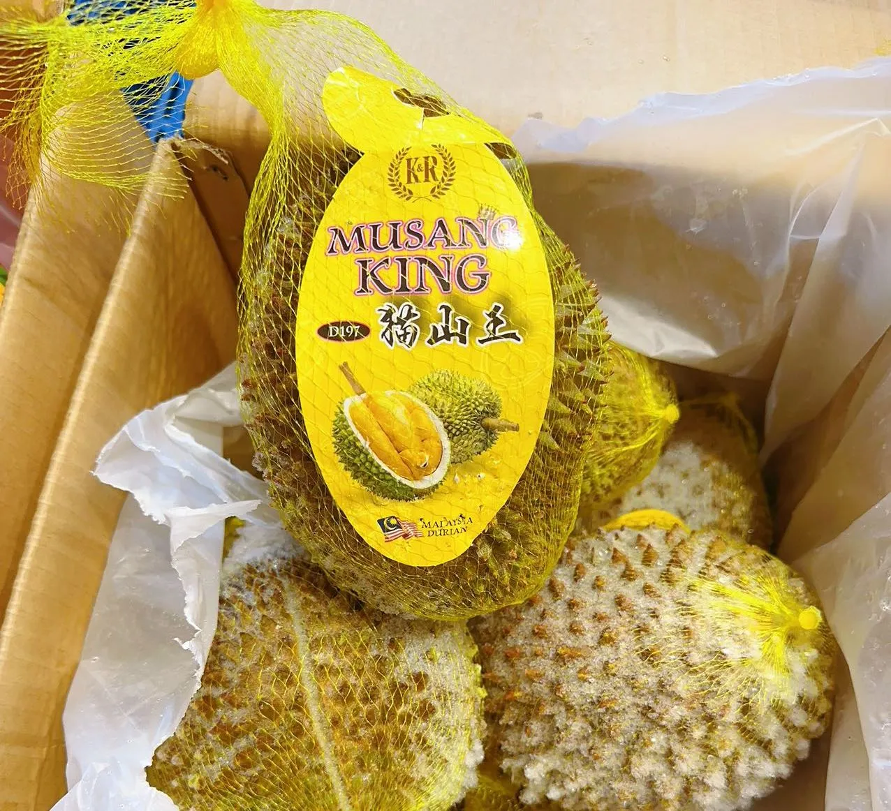 D197 Musang King Durian in Net 2.6-2.8kg
