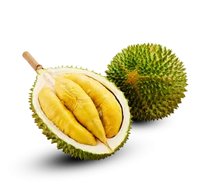 D197 Musang King Durian in Net 2.6-2.8kg
