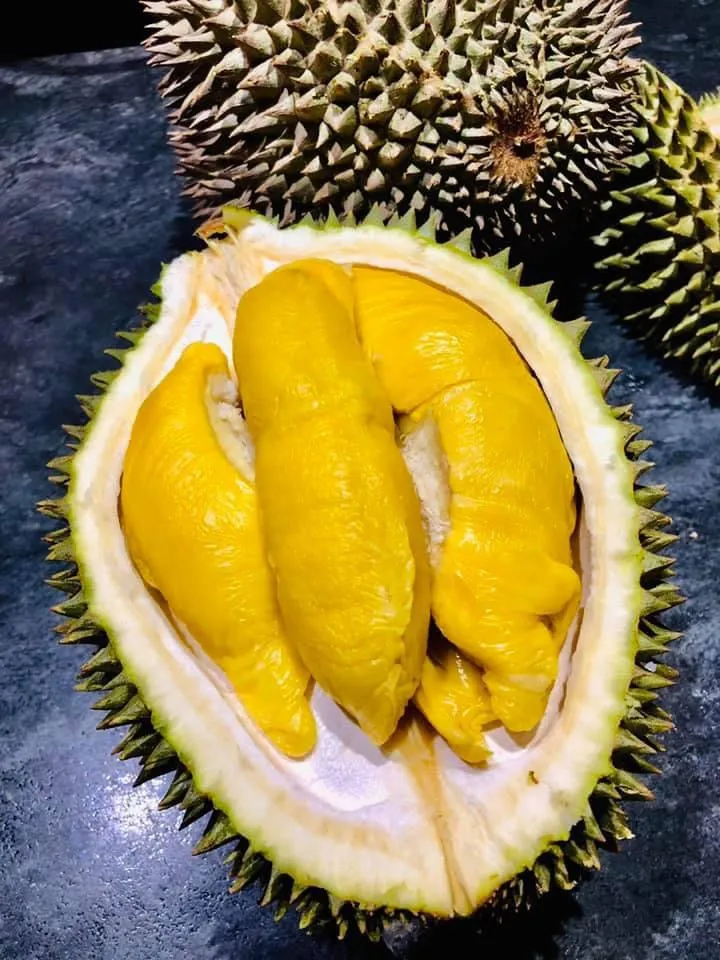 D197 Premium Malaysian Musang King Durian - 1.8-2kg Each
