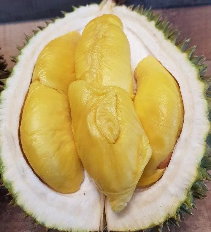 D197 Premium Malaysian Musang King Durian - 1.8-2kg Each