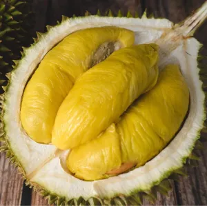 D197 Premium Malaysian Musang King Durian - 1.8-2kg Each