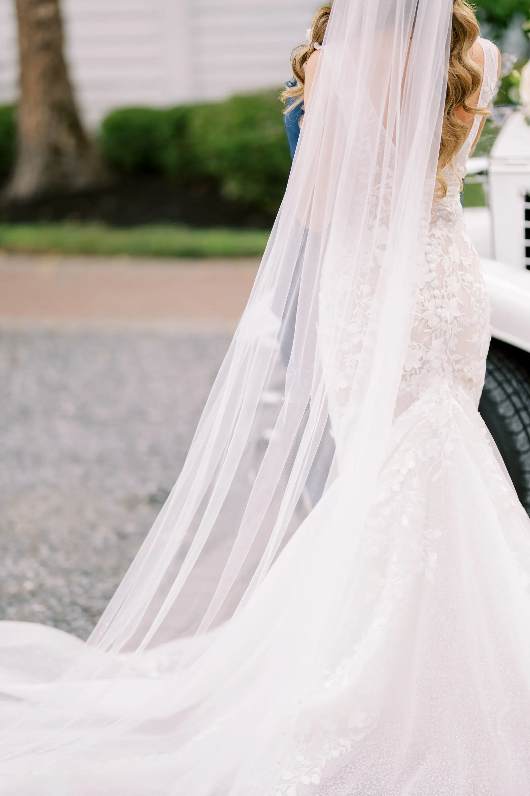 English Net Cathedral Wedding Veil, Single Tier Raw Edge Bridal Veil