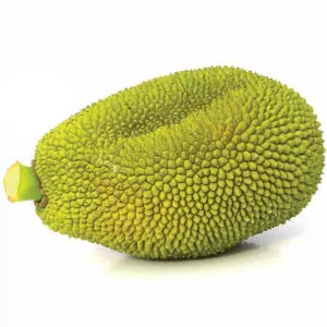 Flavor West - Jack Fruit