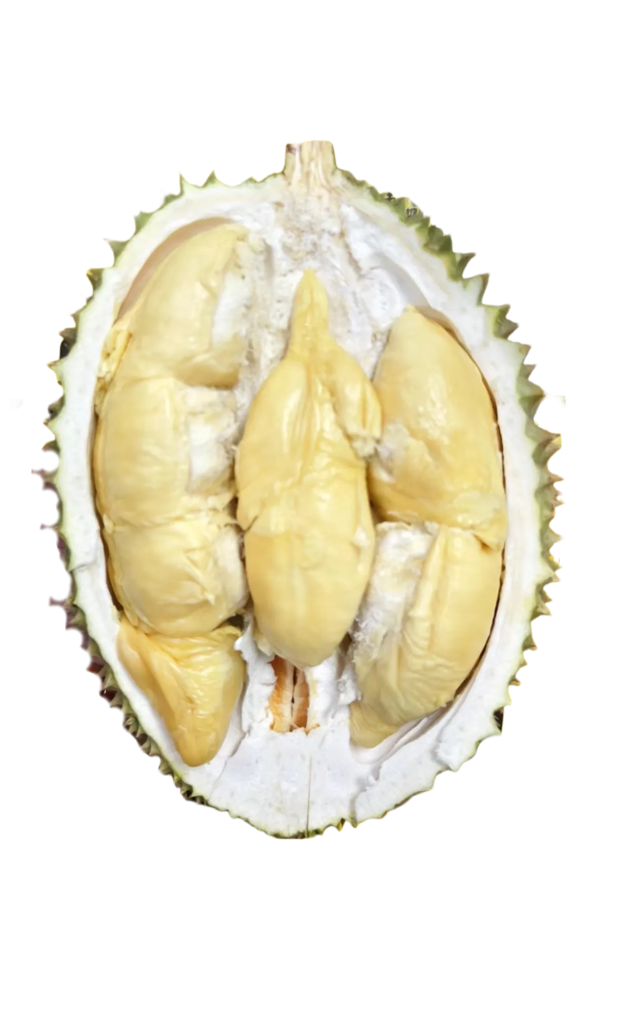 Fresh Air-Flown Tree-Ripened Bamboo Leg Durian Pulp - 400g
