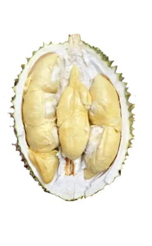 Fresh Air-Flown Tree-Ripened Bamboo Leg Durian Pulp - 400g