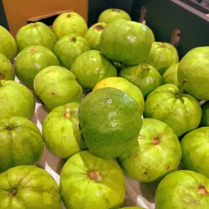 Fresh Guava Size M-L - Approx. 1kg