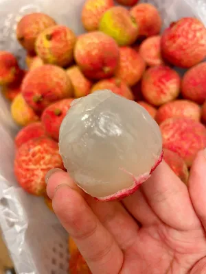Fresh Lychee - 400g
