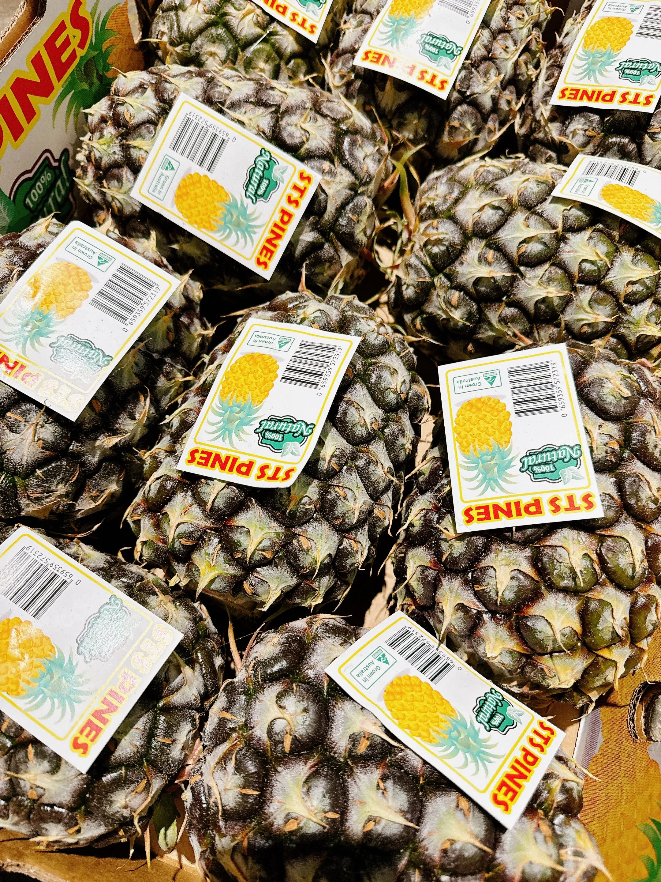 Fresh Pineapple - 1 Piece