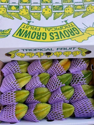 Fresh Star Fruit - 1 Piece