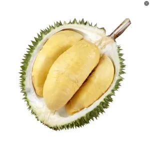 Frozen D24 Sultan Durian - 1-1.2kg