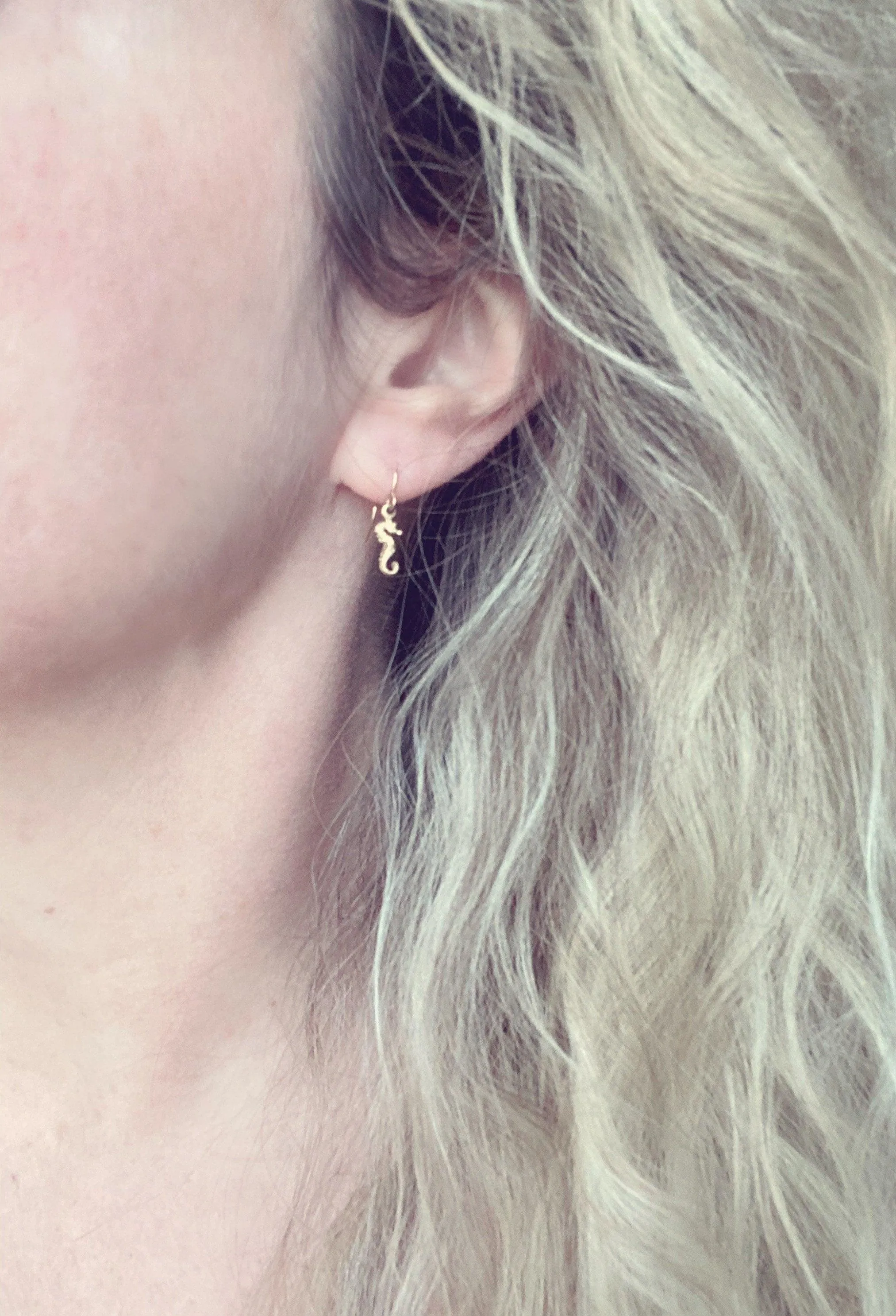 Gold Seahorse Earrings, tiny seahorse earring, sea horse dangle, little brass earring small seahorse, dainty 14K SOLID gold upgrade