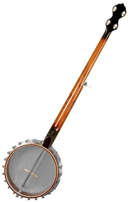 Gold Tone OT-800 Long Neck 5-String Banjo