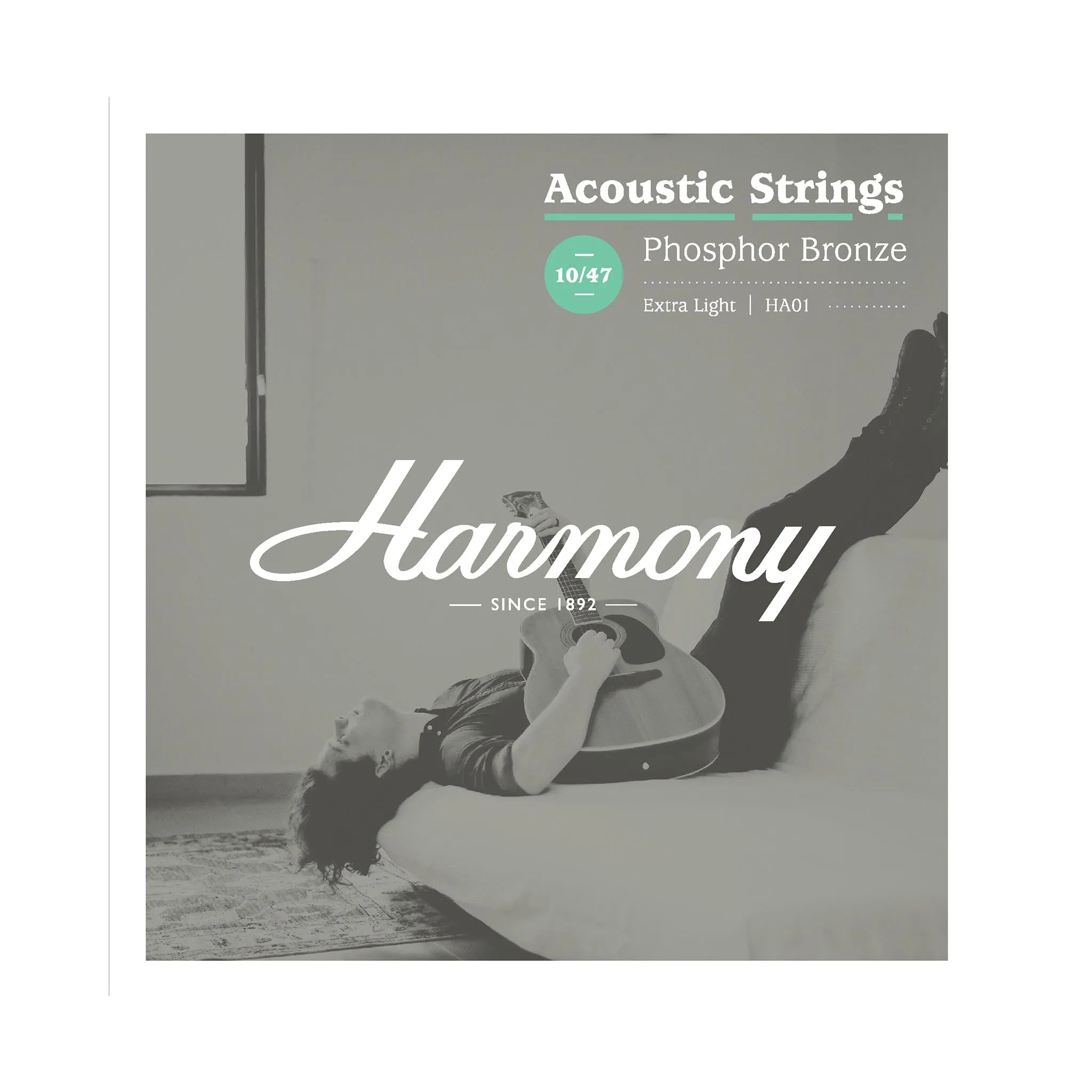 Harmony Foundation Series Terra GA Cutaway Acoustic Guitar Bundle, Natural Satin
