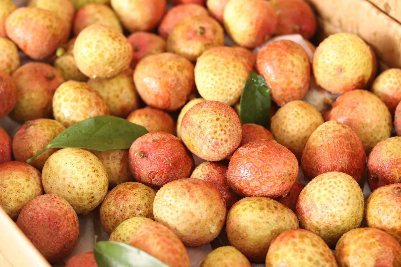 Imported Sticky Rice Lychee - 400g