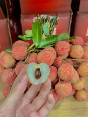 Imported Sticky Rice Lychee - 400g