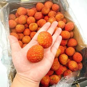 Kaimana Lychee XXL - 300g