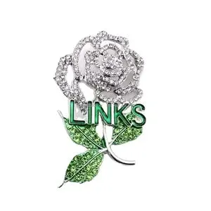 LINKS Brooches