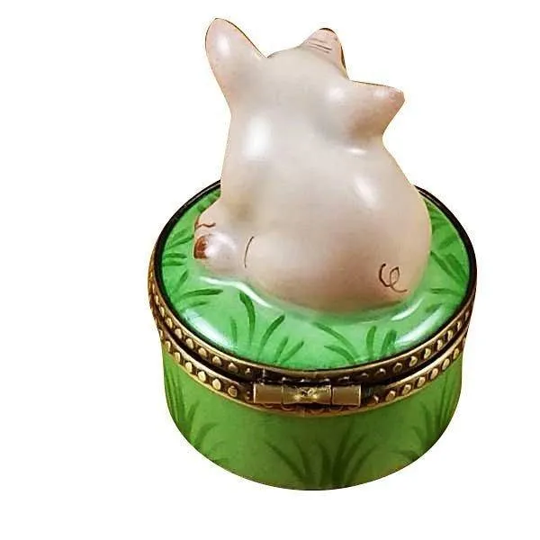 Mini Pig on Green Base