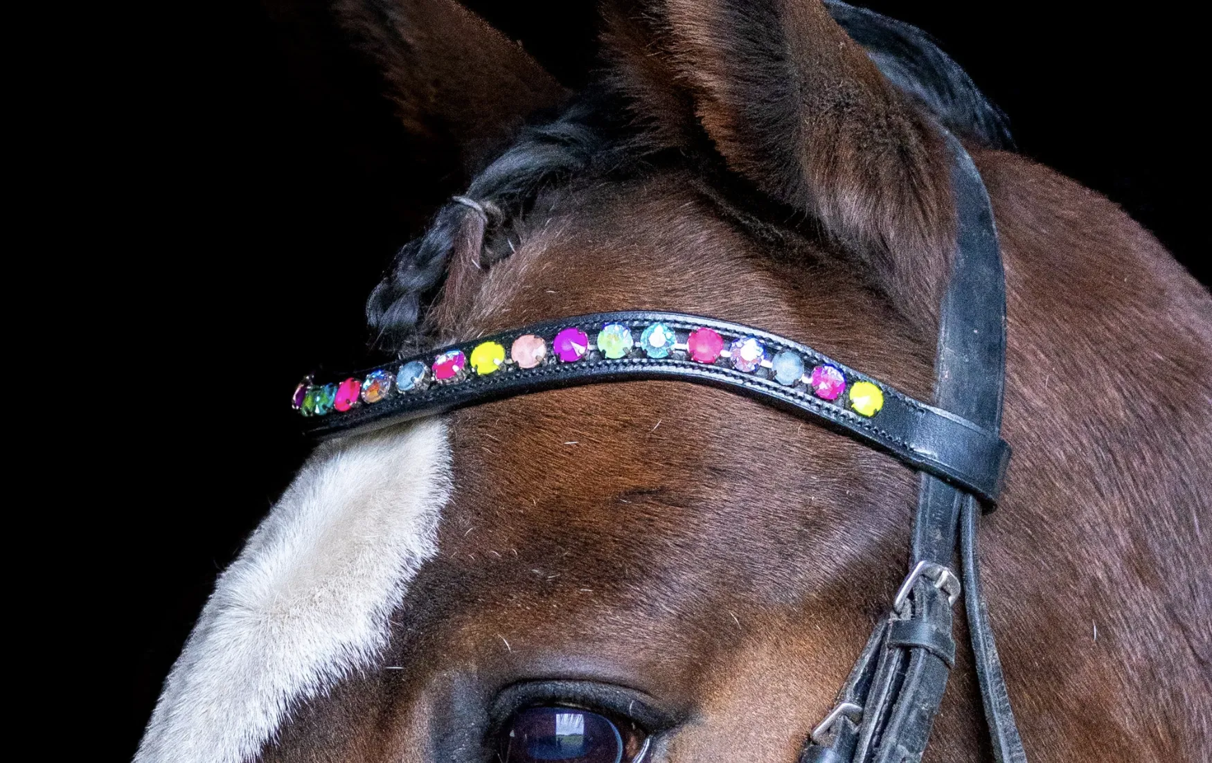Neon Lights Browband