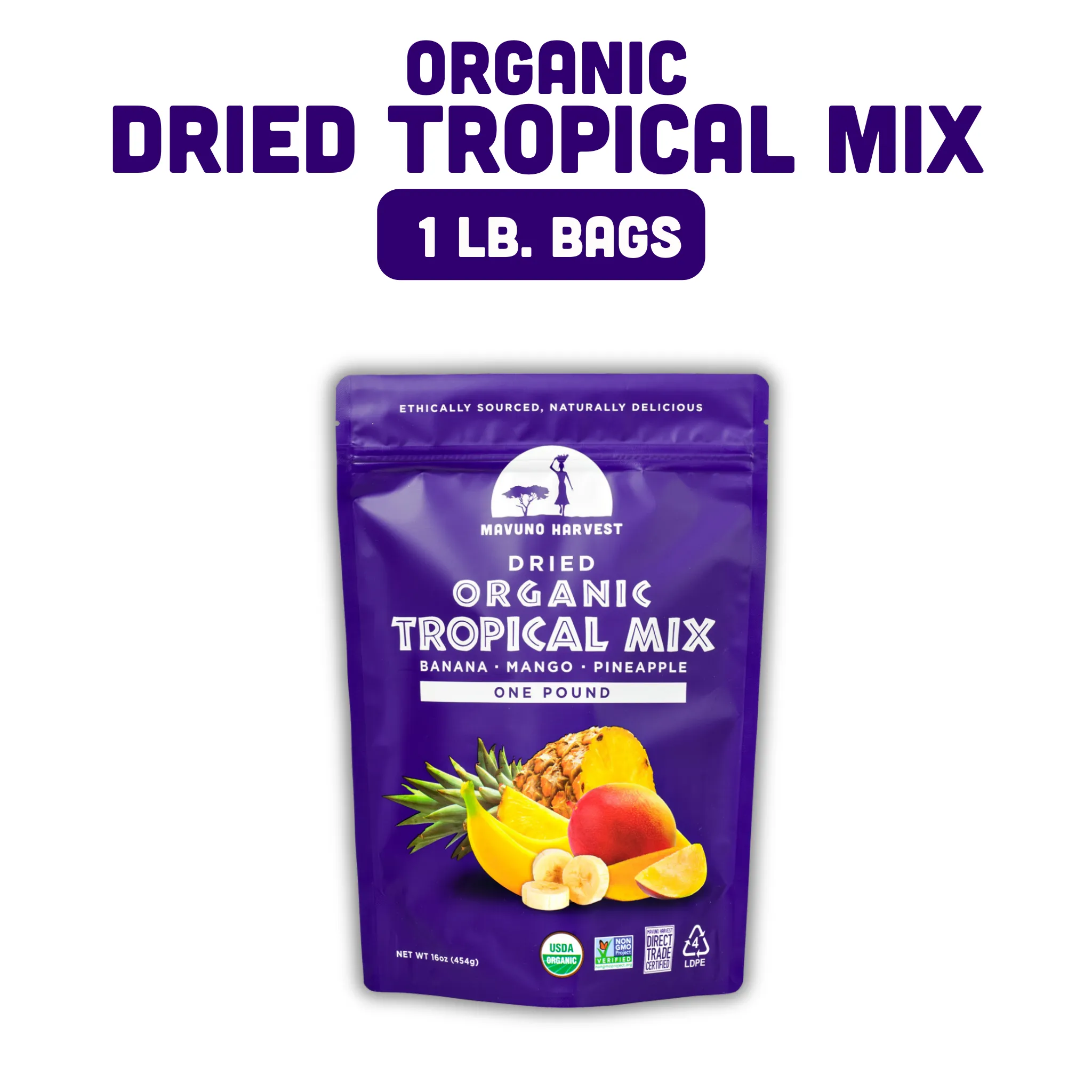 Organic Dried Tropical Mix