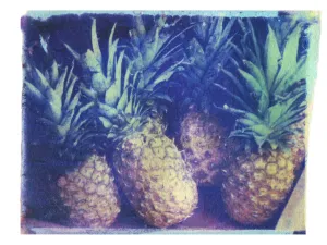 Pineapples