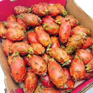 Pink Leopard Mini Dragon Fruit - 500g
