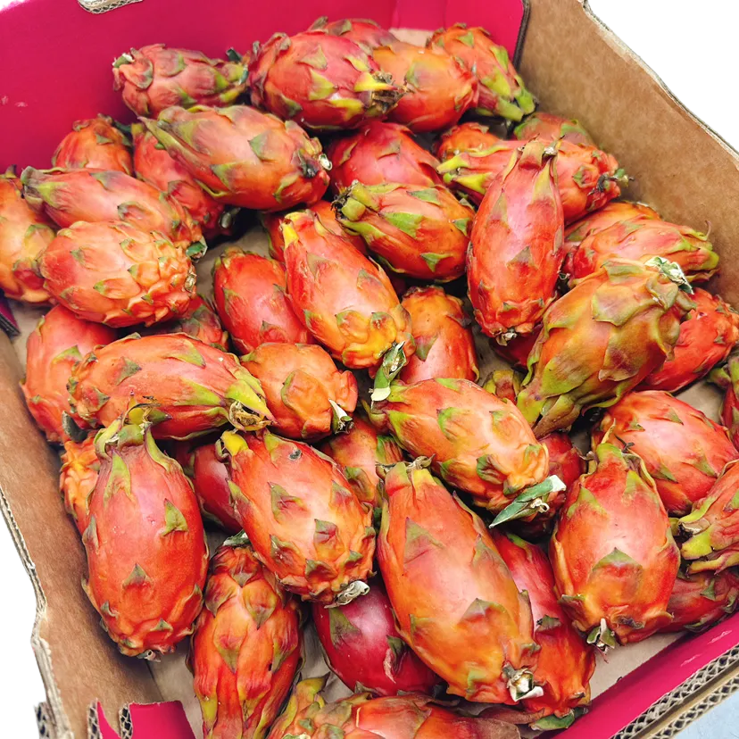 Pink Leopard Mini Dragon Fruit - 500g
