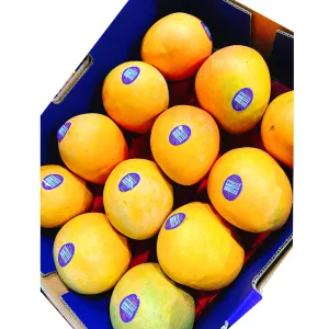 R2E2 Mangoes - Large Size 12, Box