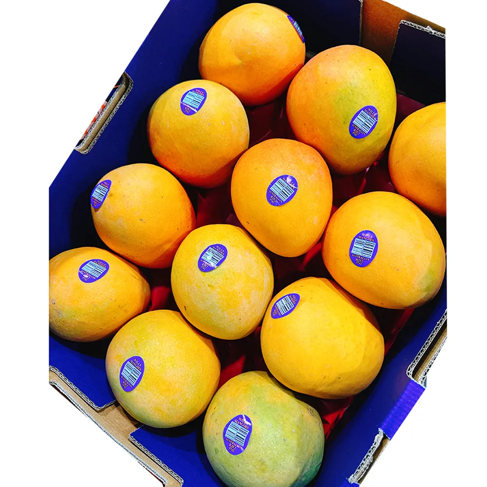 R2E2 Mangoes - Large Size 12, Box