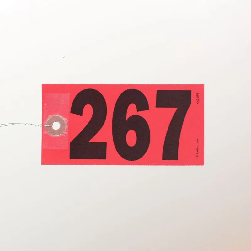 Star Bright Tags, Wired (500/Box)