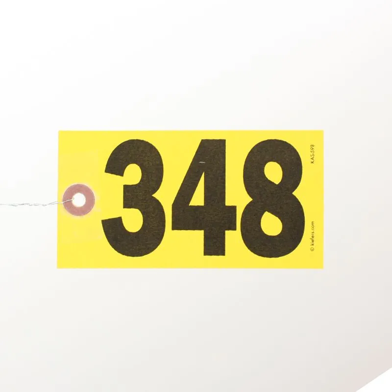 Star Bright Tags, Wired (500/Box)