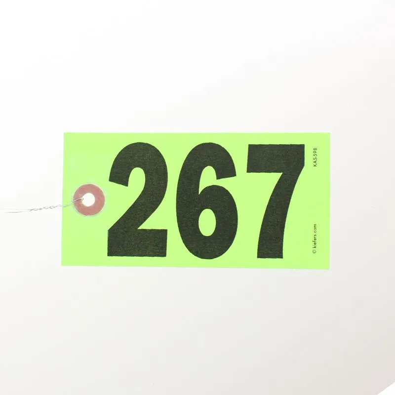 Star Bright Tags, Wired (500/Box)