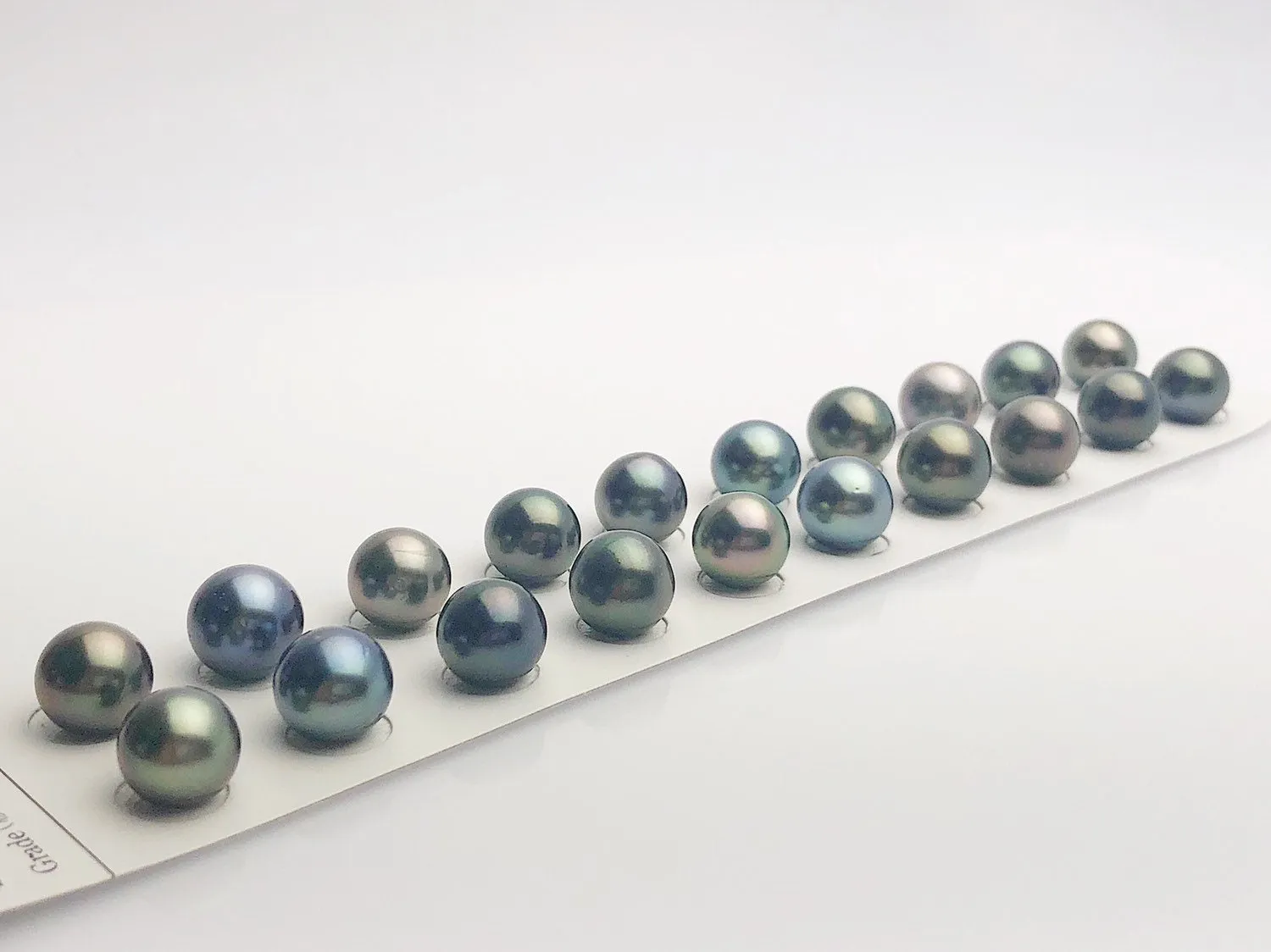 Tahitian Matched Pairs Loose Pearls, AA 11-12mm, Round Multi Colors, #639