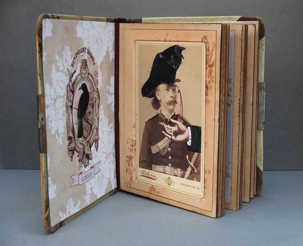 The Corvid Benevolent Society Album by Lynn Skordal -SOLD!
