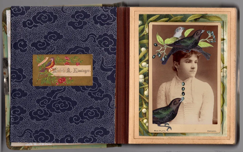 The Corvid Benevolent Society Album by Lynn Skordal -SOLD!