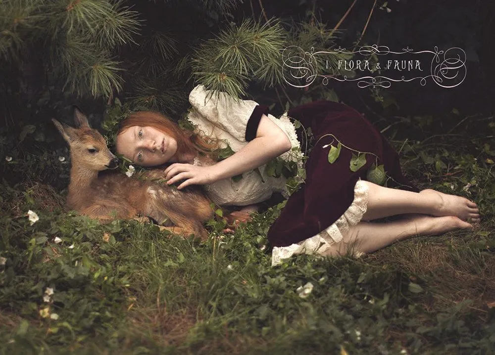 The Faerie Handbook