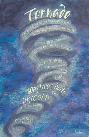 Tornado by Sherry Barber