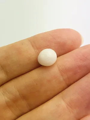 Tridacna White Clam Pearl Loose 7.46mm x 5.6mm No. 31