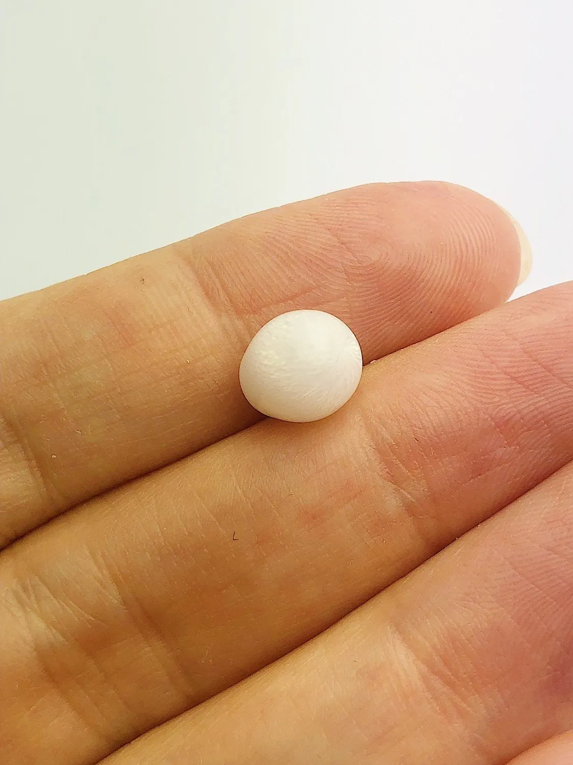 Tridacna White Clam Pearl Loose 7.46mm x 5.6mm No. 31