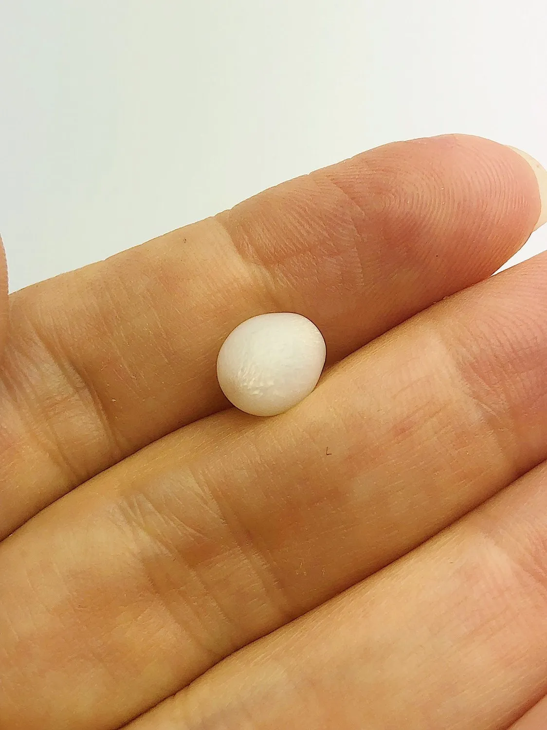 Tridacna White Clam Pearl Loose 7.46mm x 5.6mm No. 31
